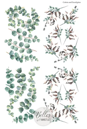 Belles and Whistles Transfers - Cotton and Eucalyptus