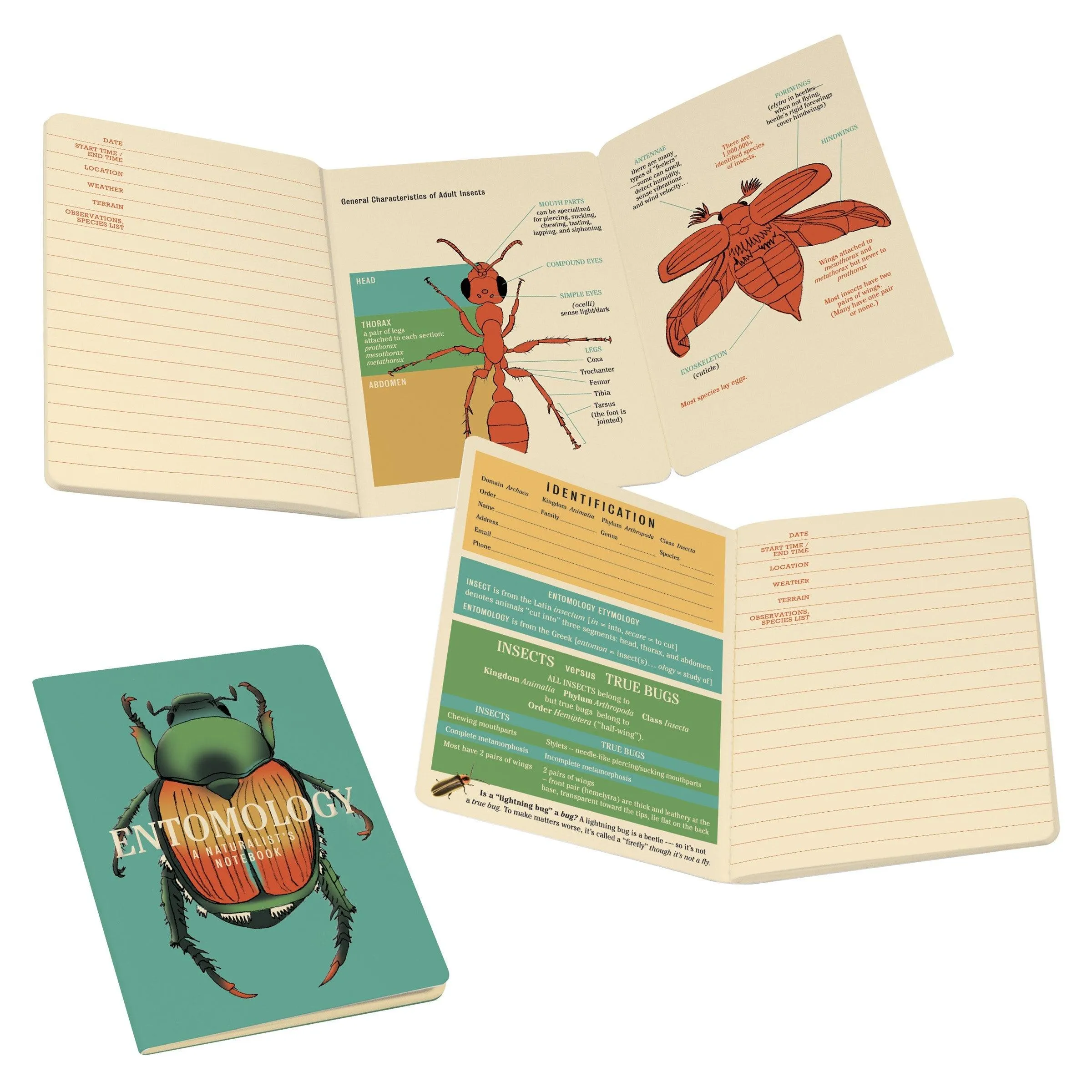 Insect (Entomology) Notebook