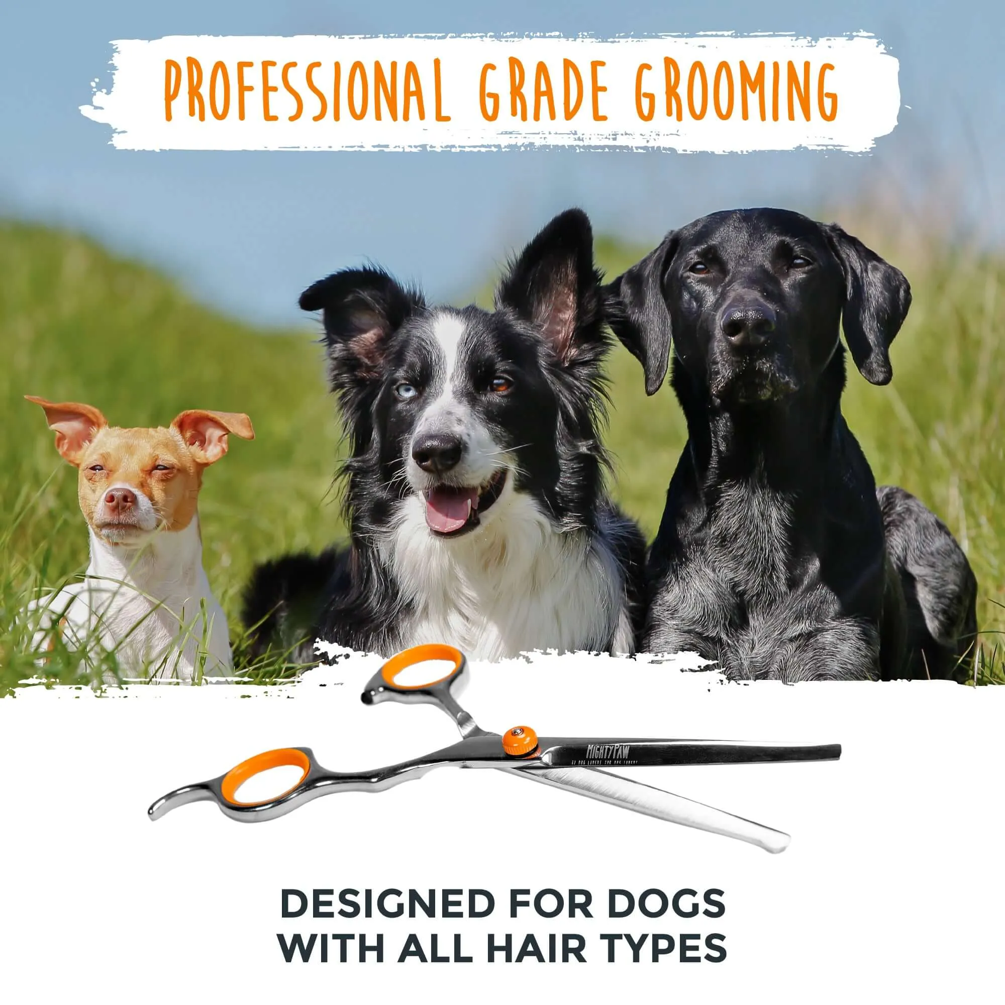 Mighty Paw 2-Pack Professional Dog Grooming Shears