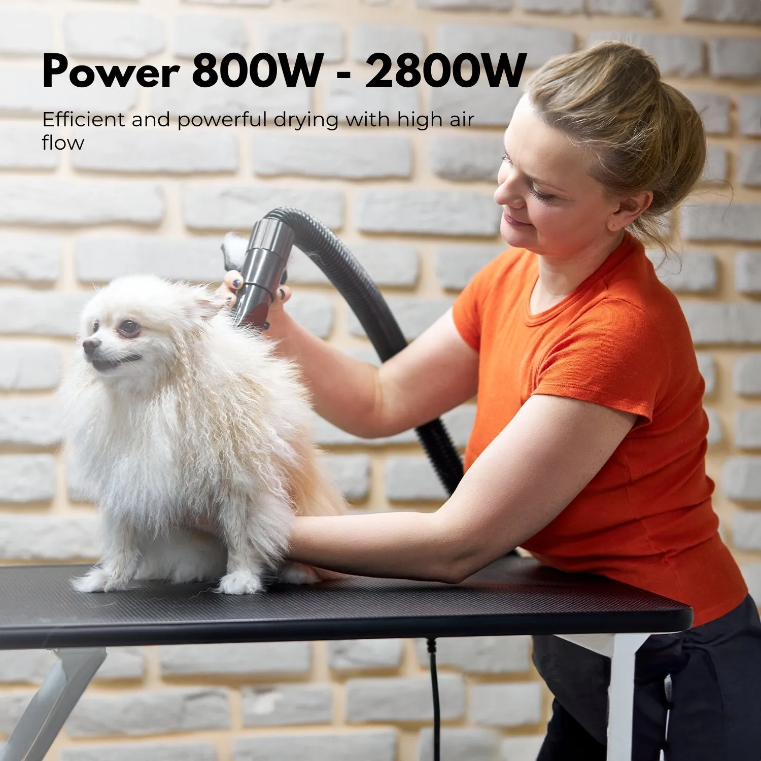 Pet Hair Dryer with Nozzle Options, Thermal Control - FLOOFI