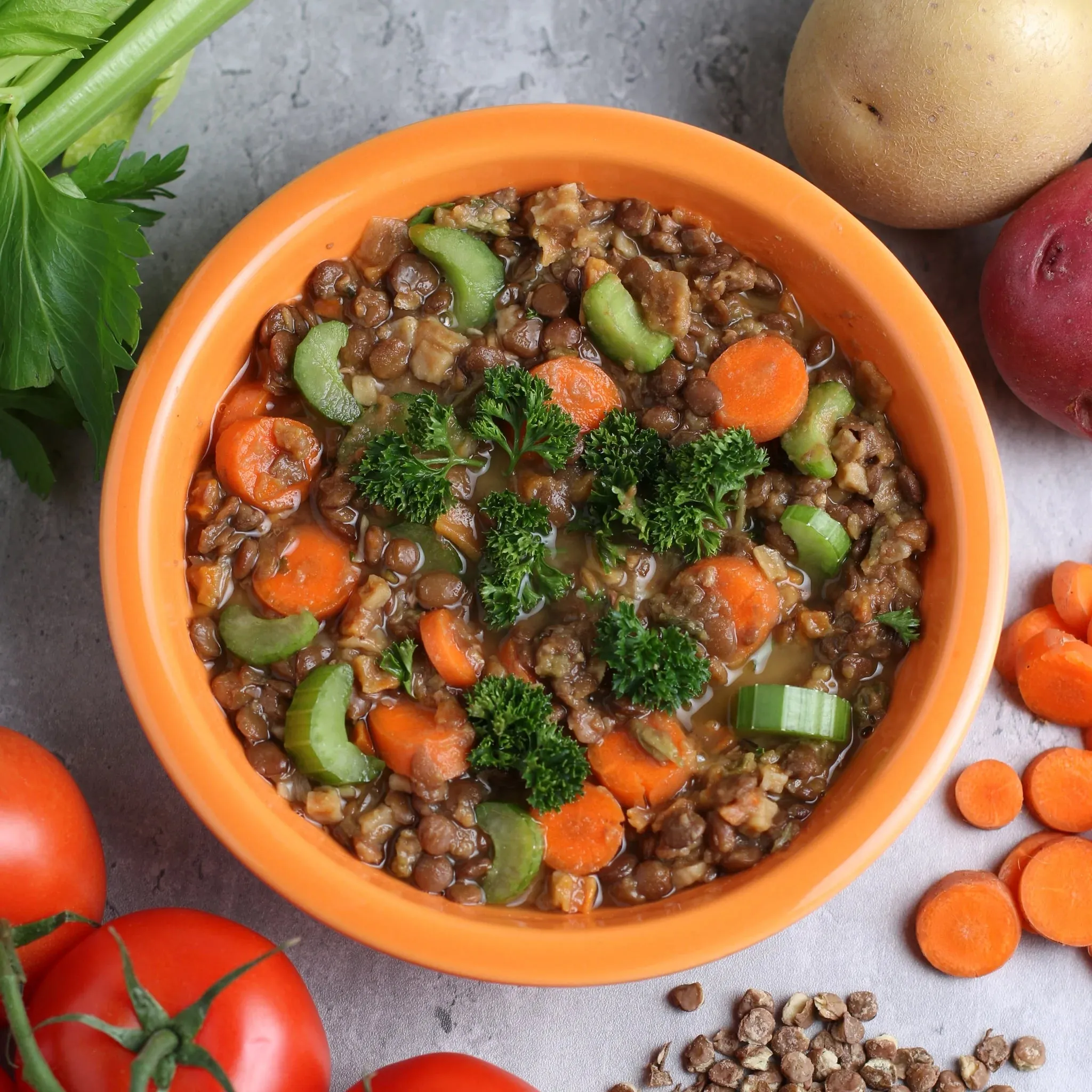 Vegetable Lentil Soup