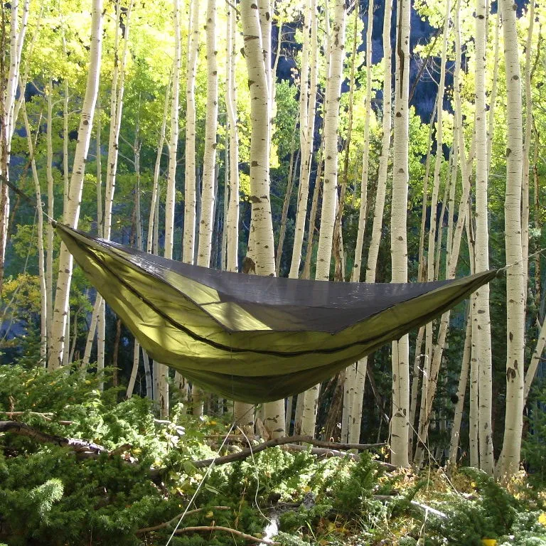 Warbonnet Blackbird Original Hammock